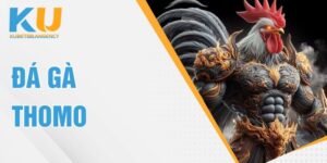 đá gà thomo