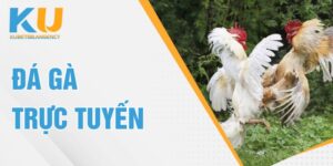 đá gà trực tuyến