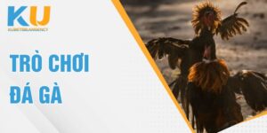 trò chơi đá gà
